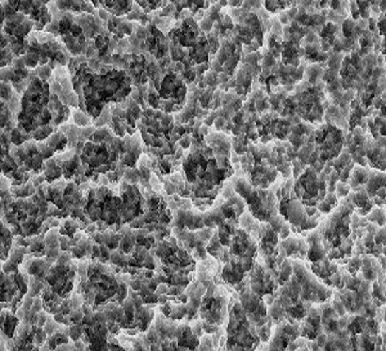 Funktionelle Oberflächen unter dem Mikroskop