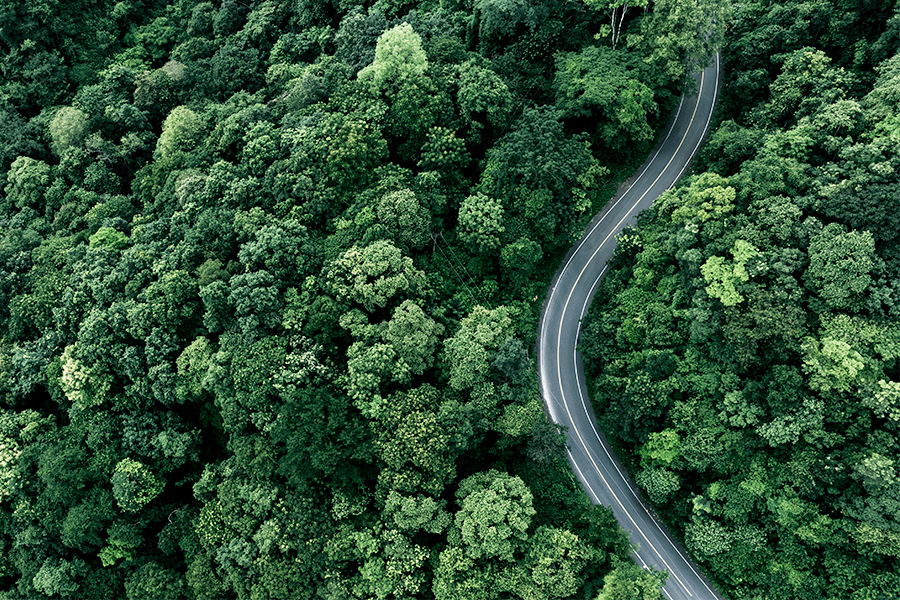 A winding road through a densely wooded landscape